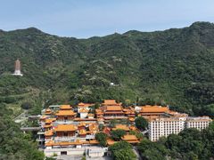 -深圳仙湖植物园