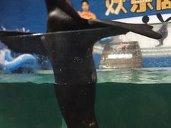 -南昌海洋公园