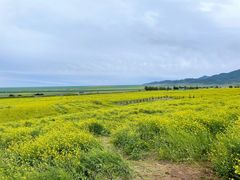 -扁都口生态休闲旅游区