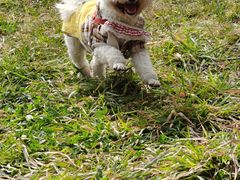 -蜀冈西峰生态公园