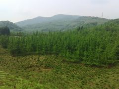 -金堂县云顶石城风景区