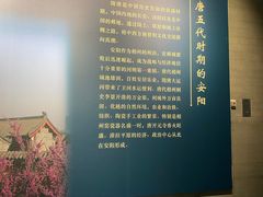 -安阳博物馆