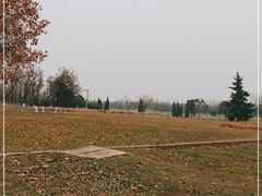 -汉长安城未央宫国家考古遗址公园