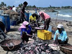 -尼甘布海鲜市场