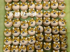 -柴务处·柴犬主题狗咖