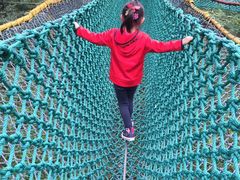 -原山国家森林公园