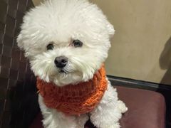 -吴记鲜定味