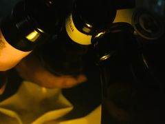 -顽啤熊·酒客酒馆(苏城夜景必选店)