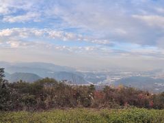 -黄埔油麻山森林公园