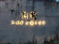 -几荷·恰似故人来(秀水广场店)