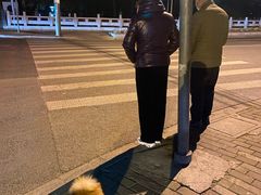-申普宠物医院·眼科·心内科·影像科(普陀分院)