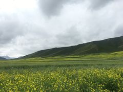 -扁都口生态休闲旅游区