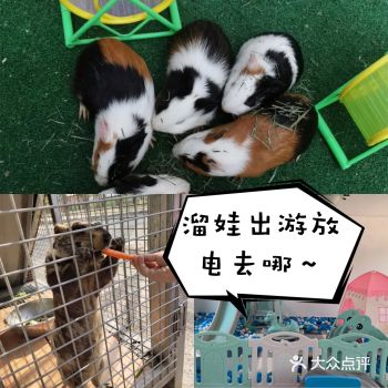 最值得一去的遛娃乐园～