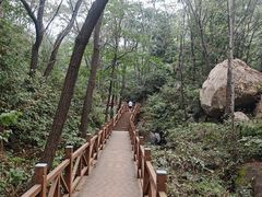 -大岭沟猕猴桃谷风景区