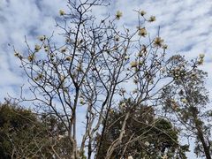 -中国移动南方基地