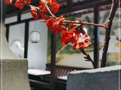 -韵秋荷(宝山龙湖天街店)
