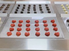 -歌斐颂巧克力小镇