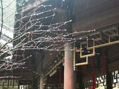 -十八棵（老龙井）御茶园(老龙井店)