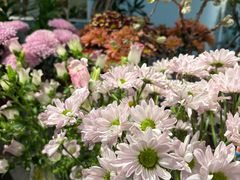 -懒人盐府人家(航天桥店)