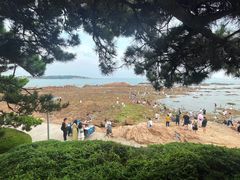-青岛第二海水浴场
