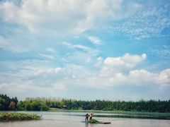 -溱湖国家湿地公园