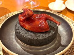 -广州富力君悦大酒店空中花园