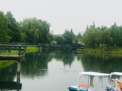 -尚贤河湿地