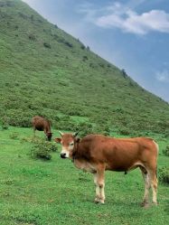 -美肤盾祛痘·问题肌头疗管理中心