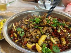 -食神又名厕所兔