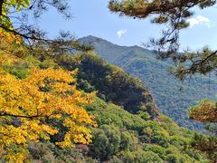 -五女峰国家森林公园