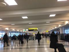 -约翰·菲茨杰拉德·肯尼迪国际机场