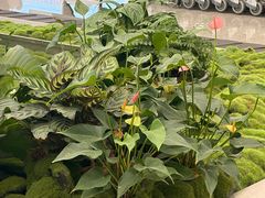 -广州白云国际机场-T2航站楼