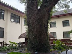 -普陀山雷迪森庄园