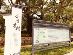 -同心泥烩鸡