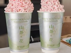-雾与山茶(大禹城店)