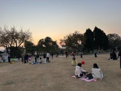 -玄武湖景区-情侣园游乐场