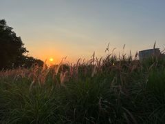 -光明小镇欢乐田园
