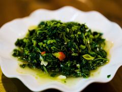 马齿苋-途中饭店(开化店)