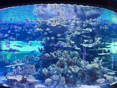 -左海海底世界