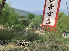 -北京西山国家森林公园