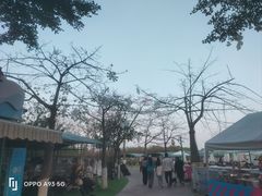 -盈香心动乐园