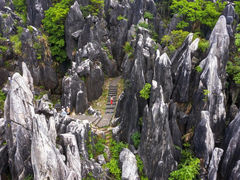 -钟山水墨田园