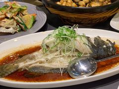 清蒸石斑鱼-海鲜e族(马王堆店)