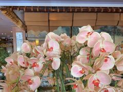 -八府香鸭·啫啫煲(华山路店)