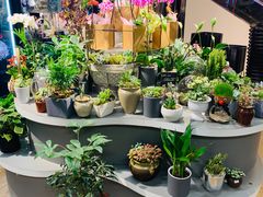 -Olé精品超市(上海虹桥南丰城店)
