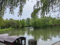 -溱湖国家湿地公园