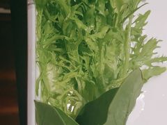 -南门四季铜锅涮肉(大屯·北苑店)