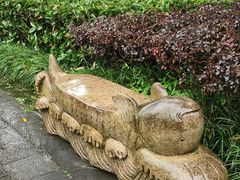 -重庆彩云湖湿地公园