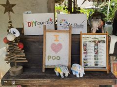 -大象粑粑造纸公园