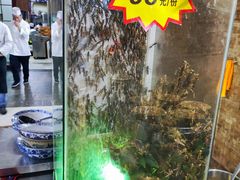 -昆虫窝子·特色云南菜(拓东路总店)